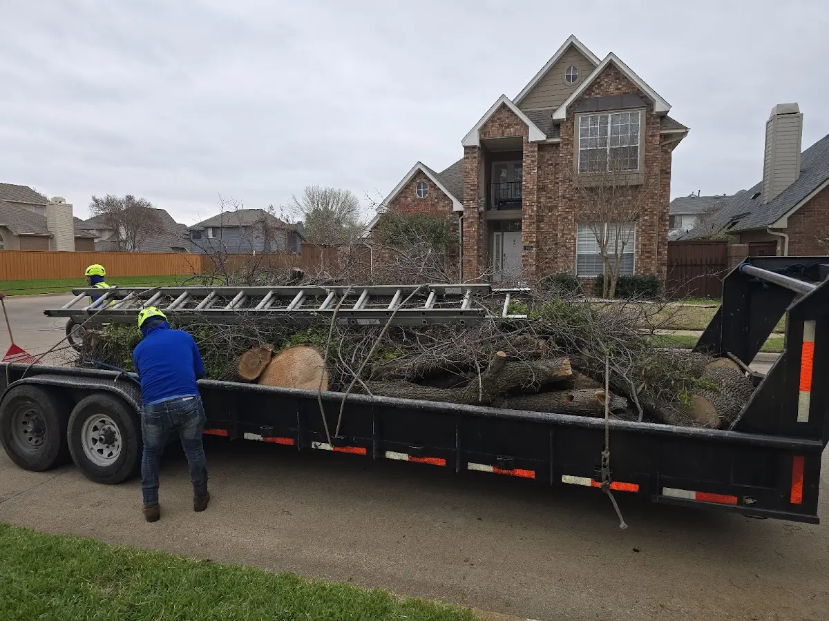 Expert Lot Clearing with proper safety equipment in Wickett